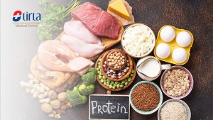 Daftar Makanan Tinggi Protein untuk Pembentukan Otot: Panduan Lengkap Menuju Tubuh Ideal